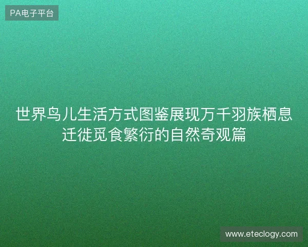 世界鸟儿生活方式图鉴展现万千羽族栖息迁徙觅食繁衍的自然奇观篇 世界鸟儿生活方式图鉴展现万千羽族栖息迁徙觅食繁衍的自然奇观篇