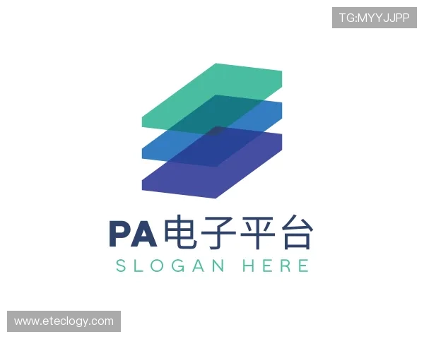 关于PA电子平台