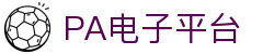 PA电子官网